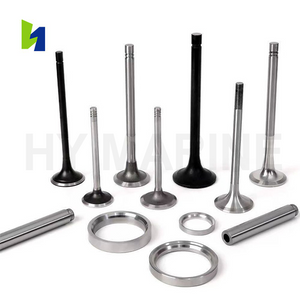 L20/27 Intake & Exhaust Valve for Marine Engine Parts